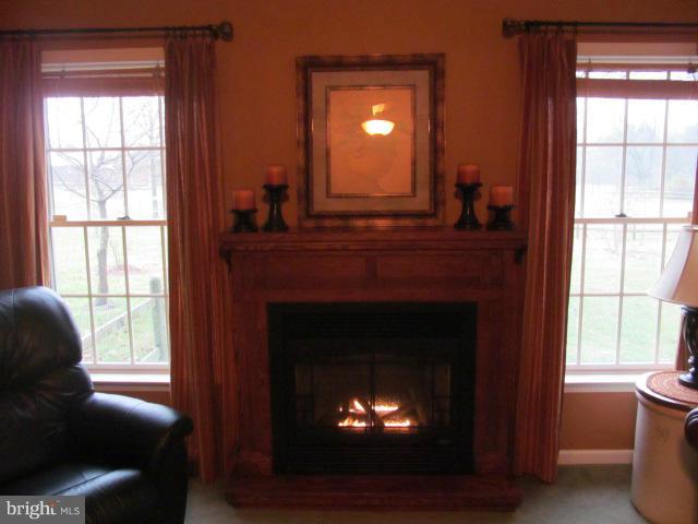 32001 Flowers Road Queen Anne, MD 21657 - Photo 10 of 30 Interior (General)