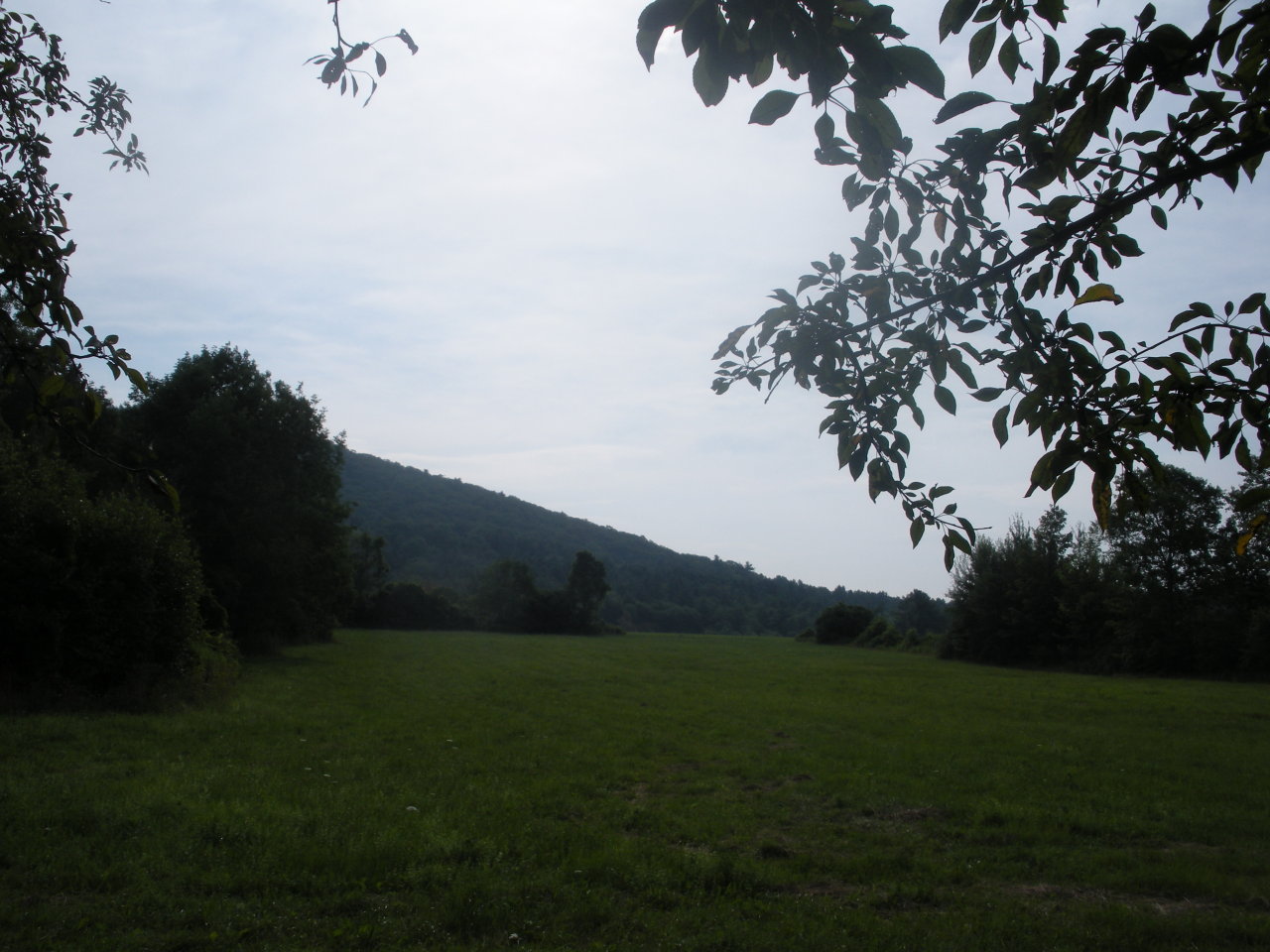 141 West Center Road West Stockbridge, MA 01266 - Photo 4 of 5 Acreage