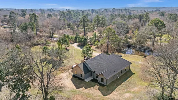 a view of a backyard with plants and a lake view