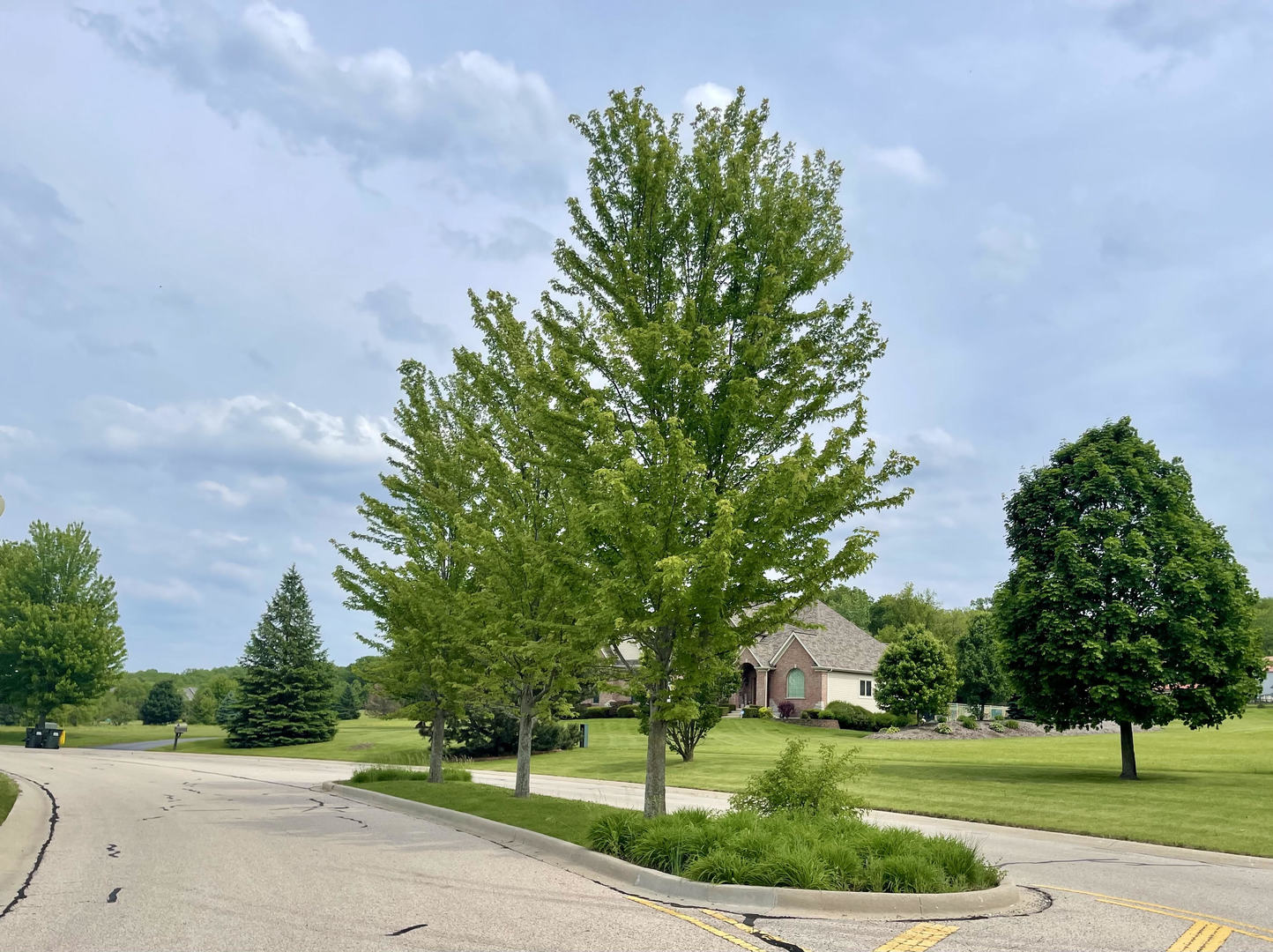 2003 Red Oak Lane Spring Grove, IL 60081 - Photo 6 of 6 a view of a park with large trees