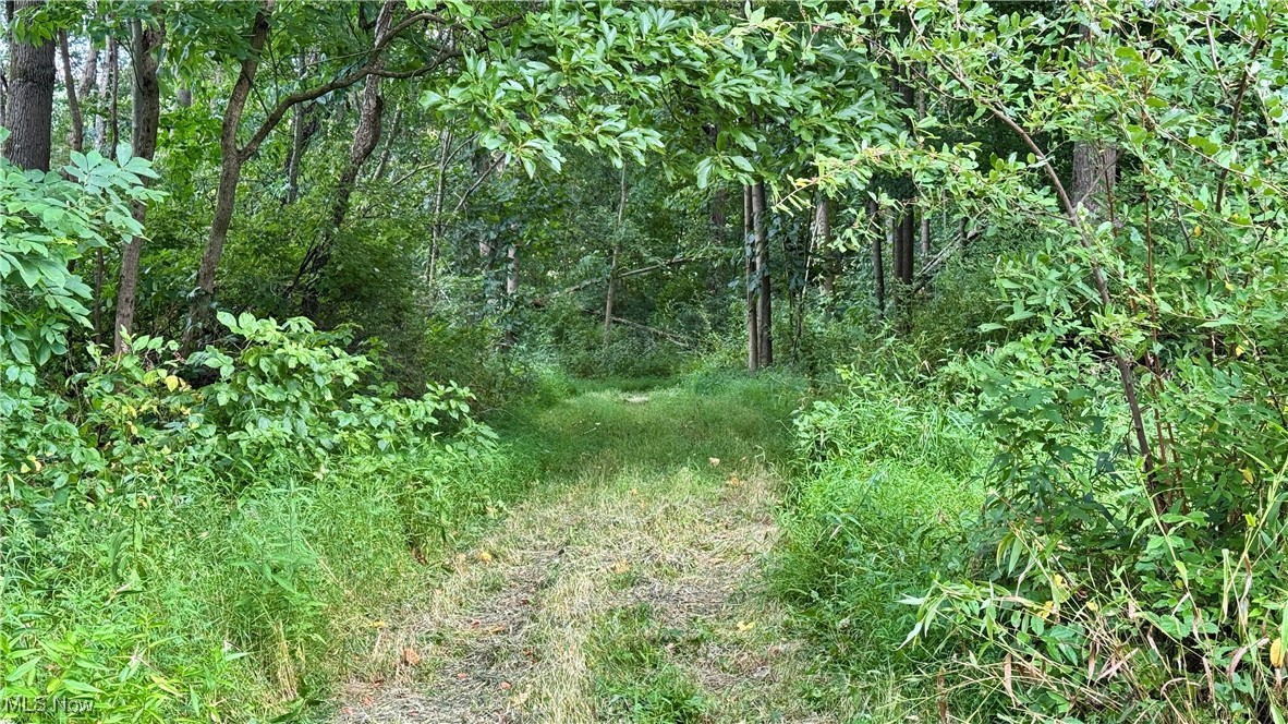 294 County Road Conesville, OH 43811 - Photo 26 of 39 View of local wilderness