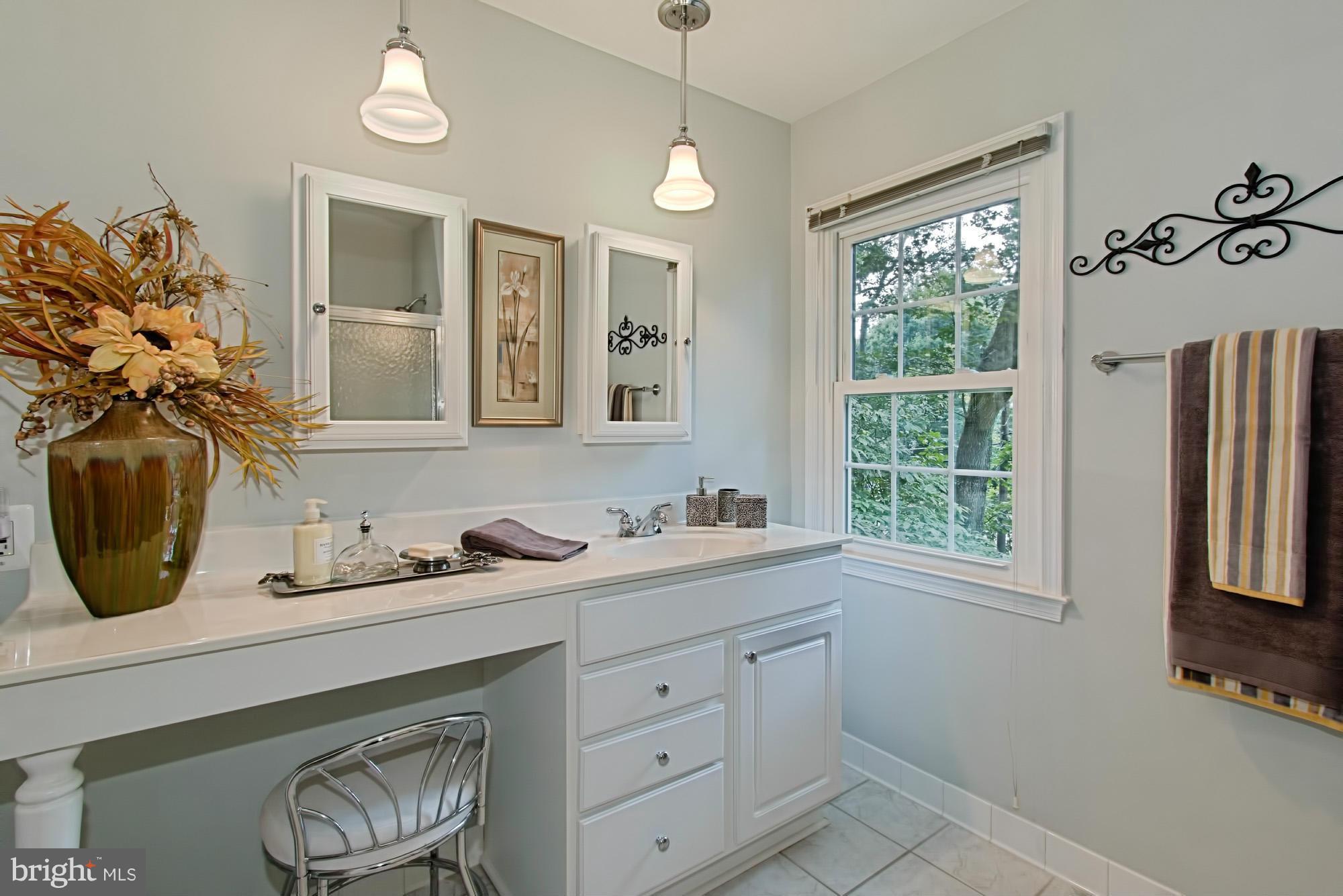 11420 Vale Road Oakton, VA 22124 - Photo 19 of 30 Bath (Master)