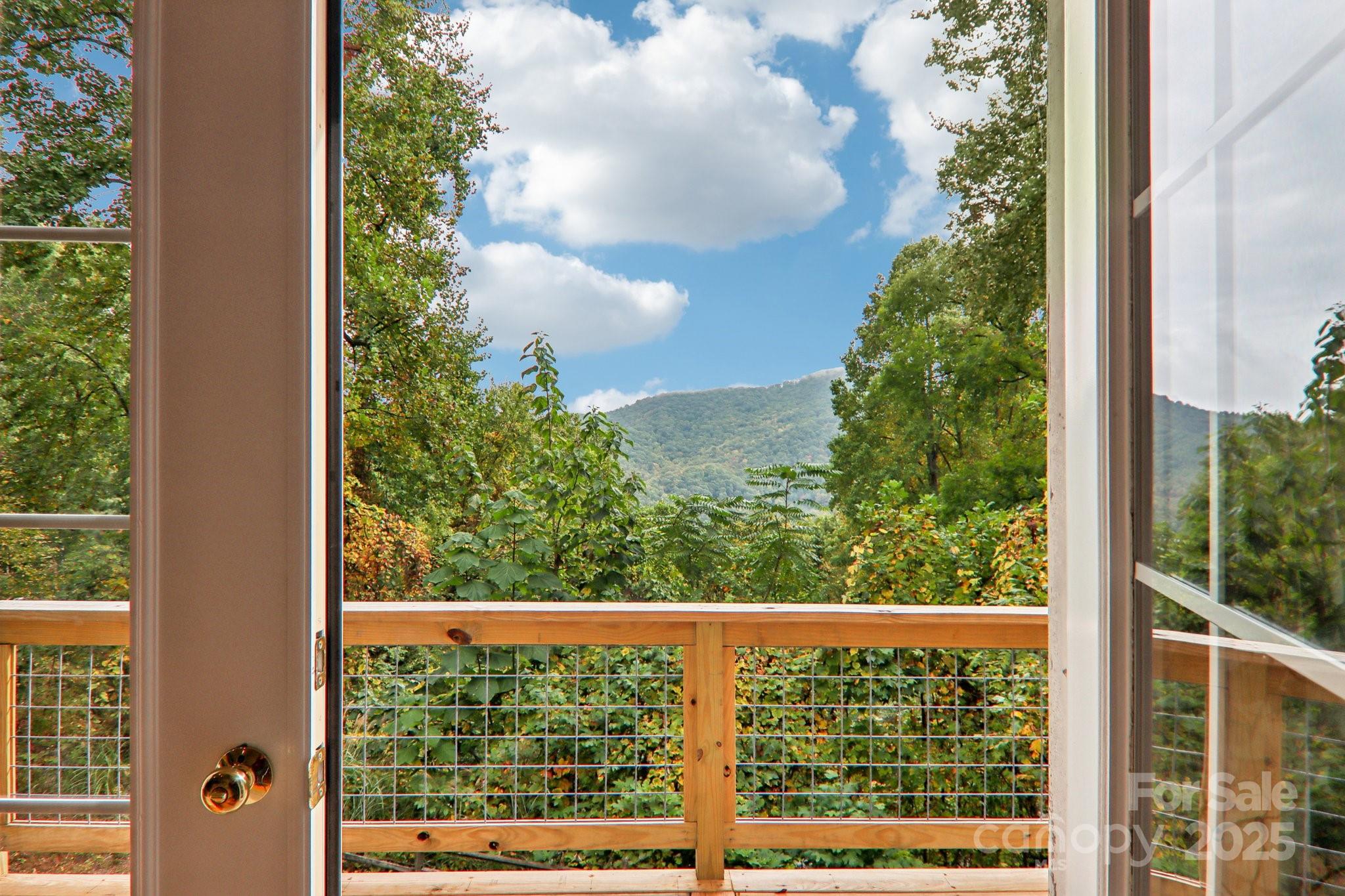 311 Jacks Knob Road Barnardsville, NC 28709 - Photo 22 of 48 a view of outdoor space and garden