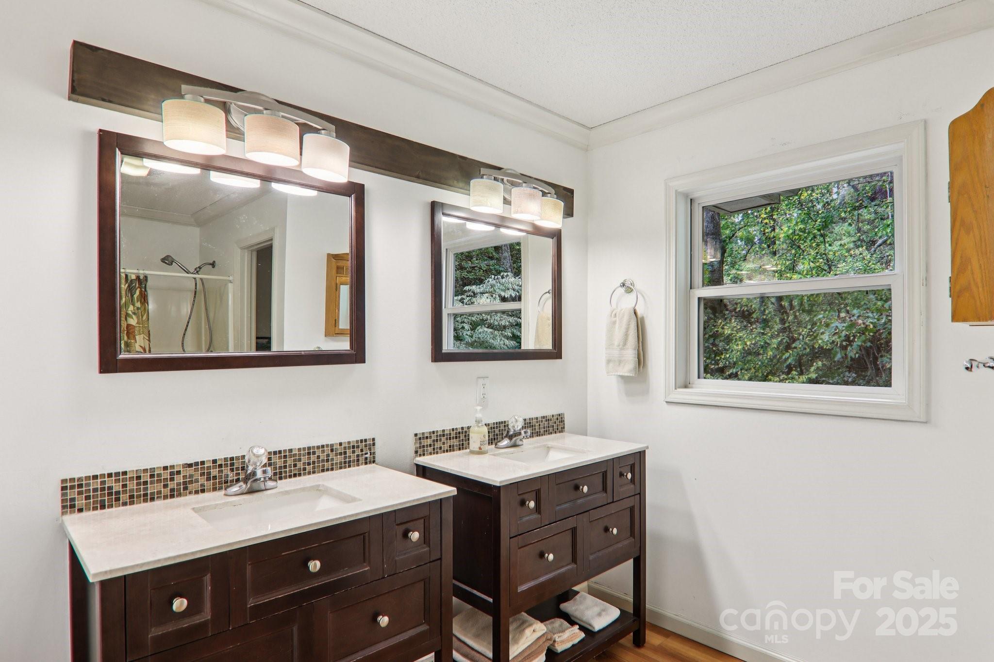 311 Jacks Knob Road Barnardsville, NC 28709 - Photo 34 of 48 a bathroom with a sink mirror and a window