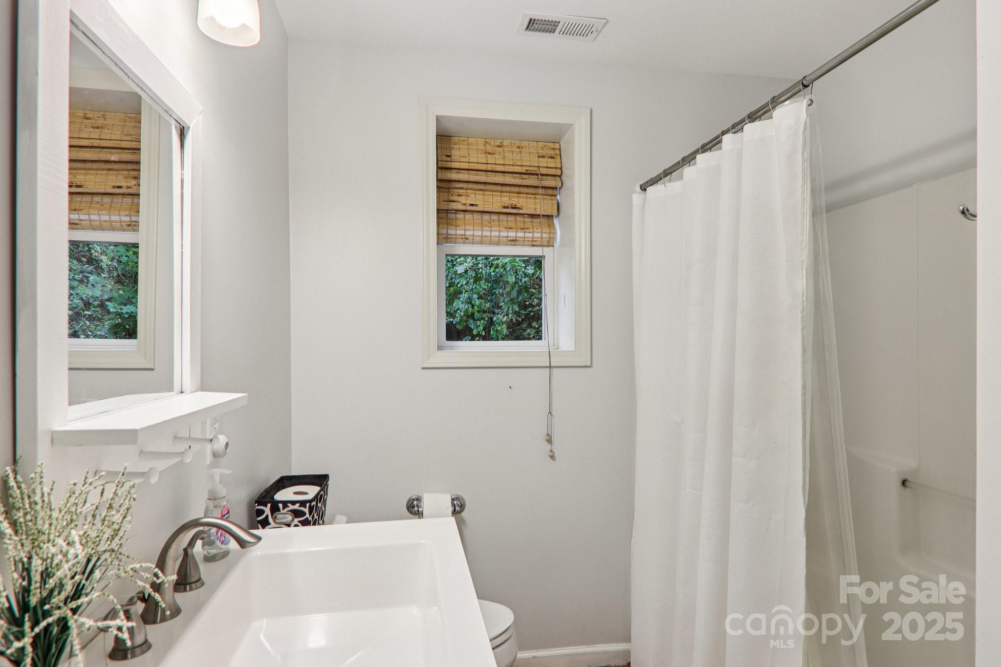 311 Jacks Knob Road Barnardsville, NC 28709 - Photo 43 of 48 a bathroom with a sink a mirror and a shower