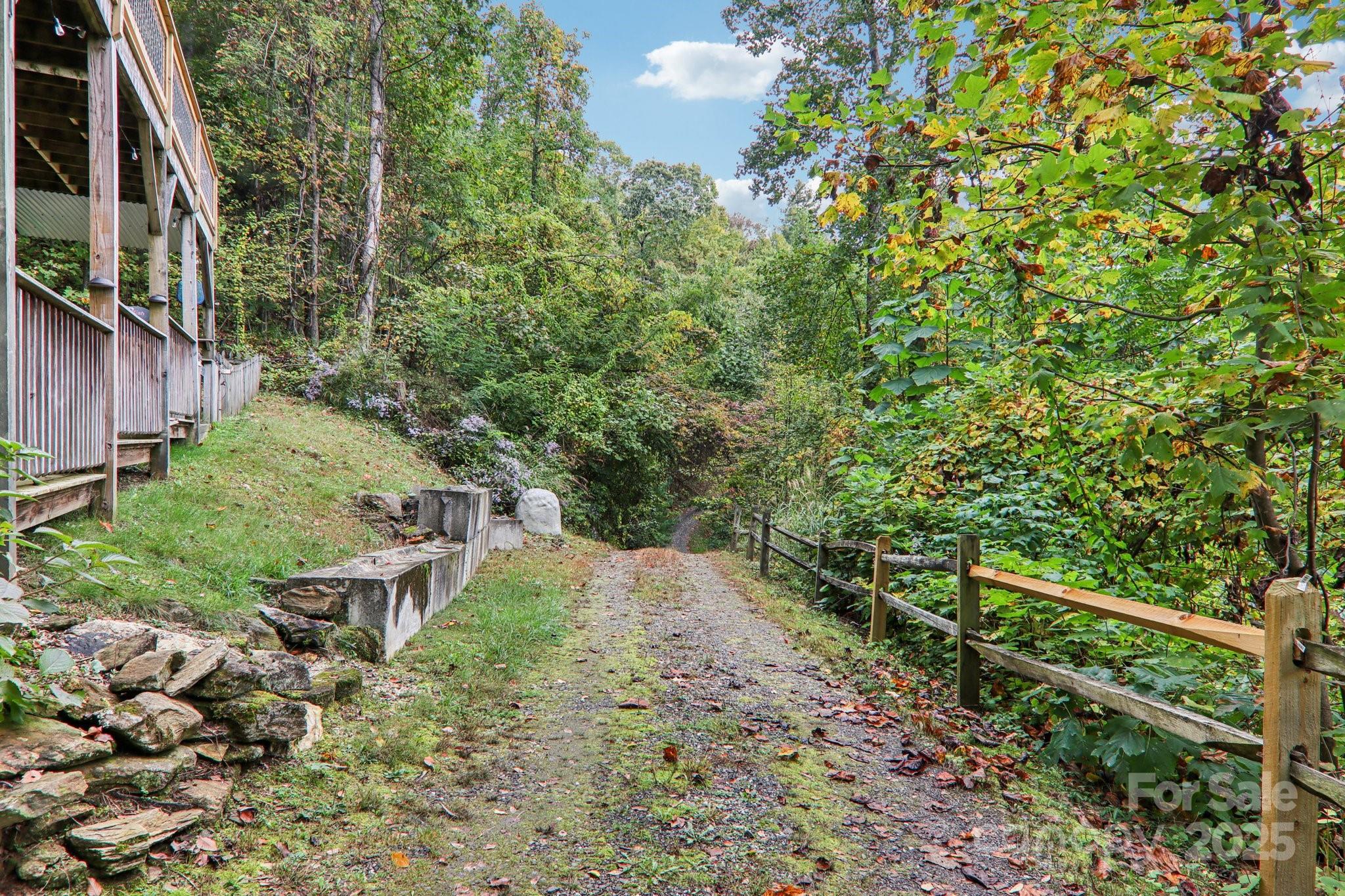 311 Jacks Knob Road Barnardsville, NC 28709 - Photo 5 of 48 a view of backyard with outdoor seating and green space