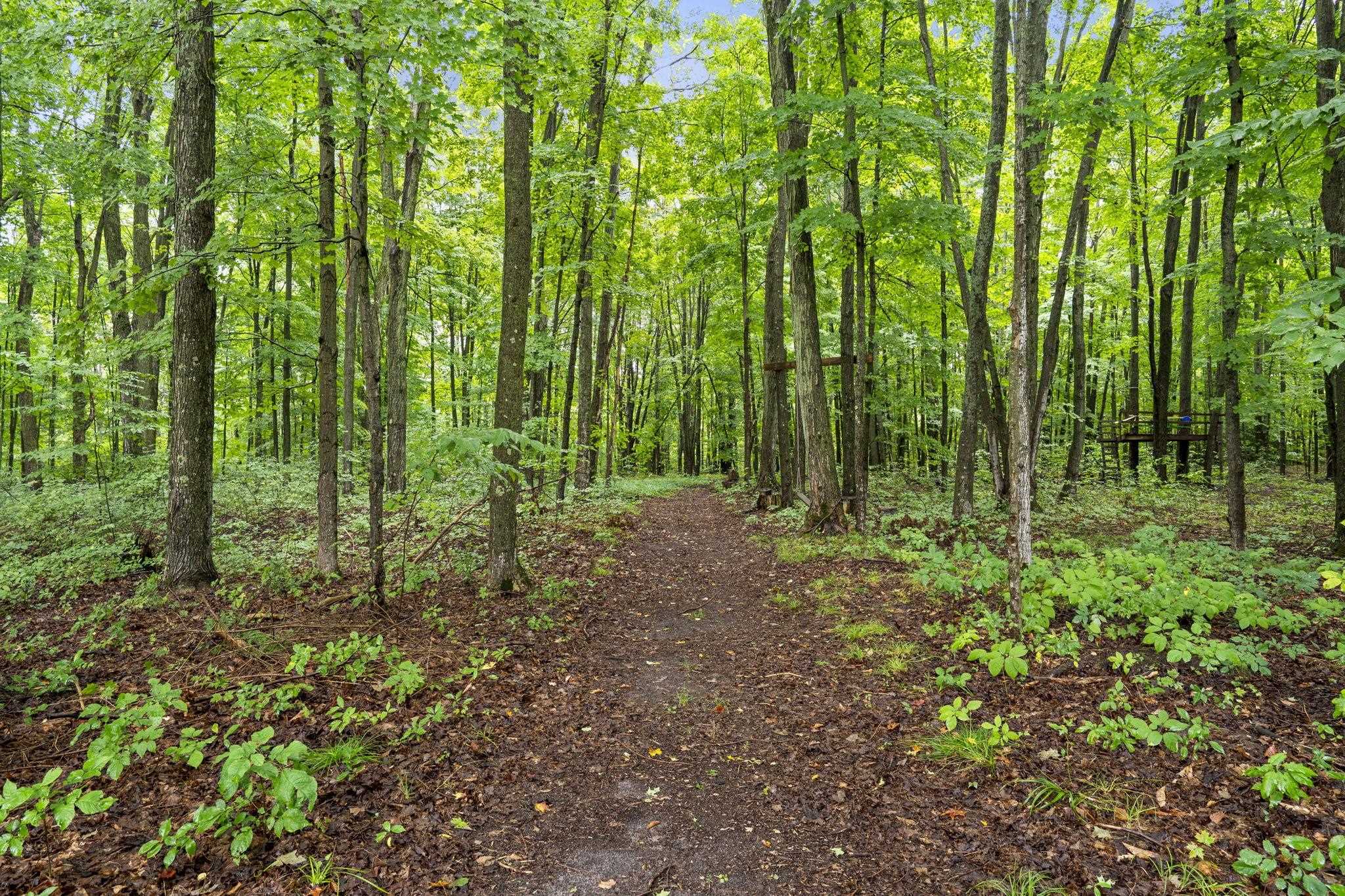 5275 Pierce Road Kingsley, MI 49649 - Photo 68 of 81 1950349-a7c0afc3-20ee-4441-9a10-078df3f300af.JPG