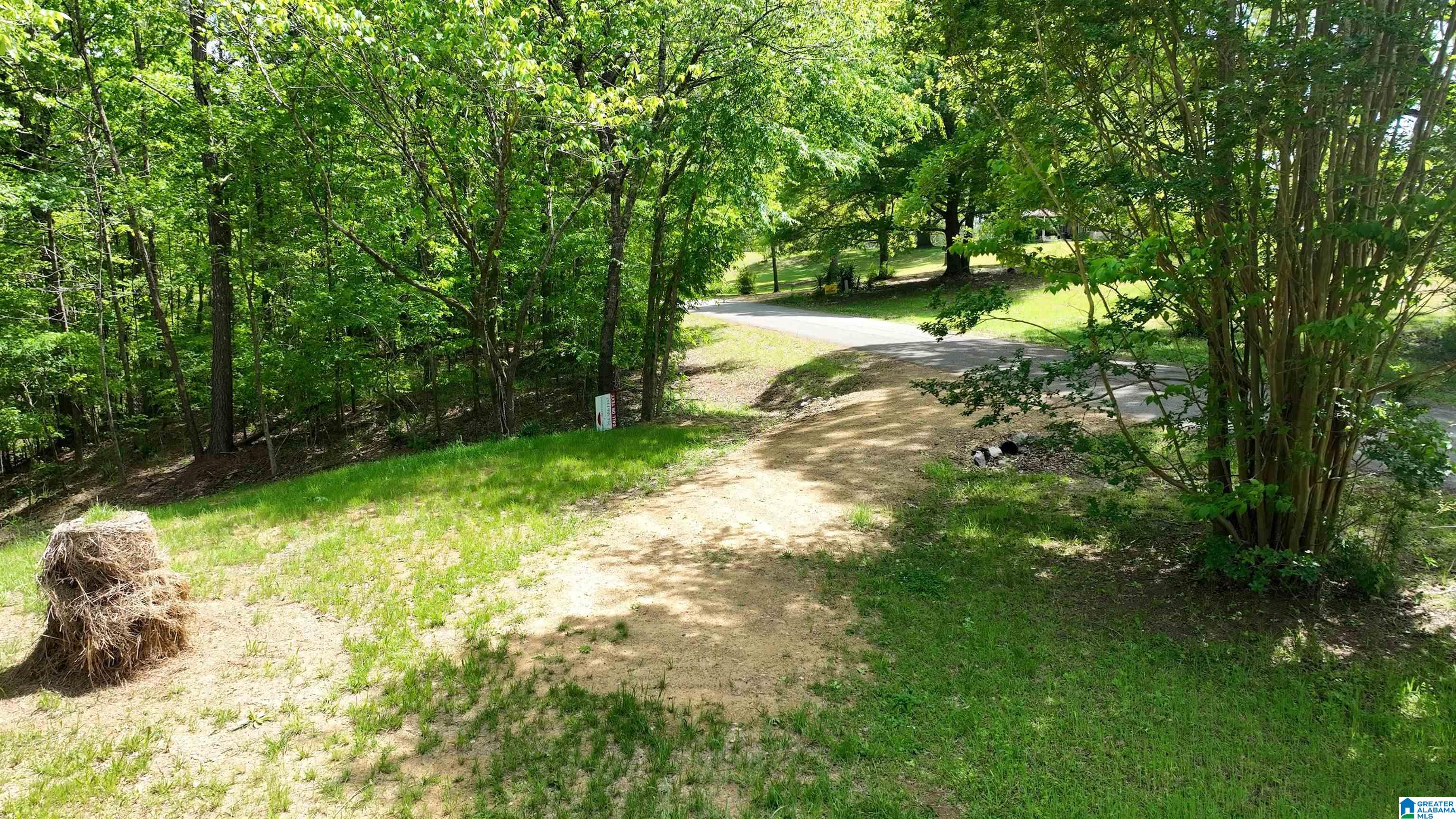 498 Blackwood Road, Unit 14 9 ACRES Parrish, AL 35580 - Photo 33 of 50