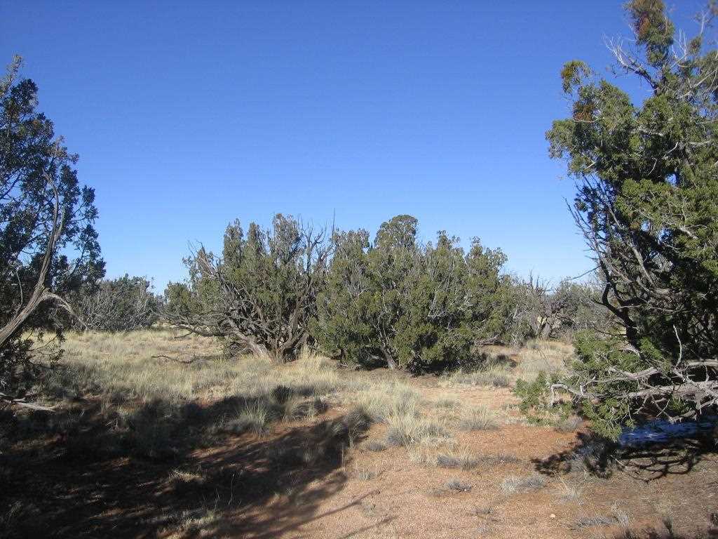 Lot 587 Chevelon Canyon Ranch Heber, AZ 85928 - Photo 1 of 13
