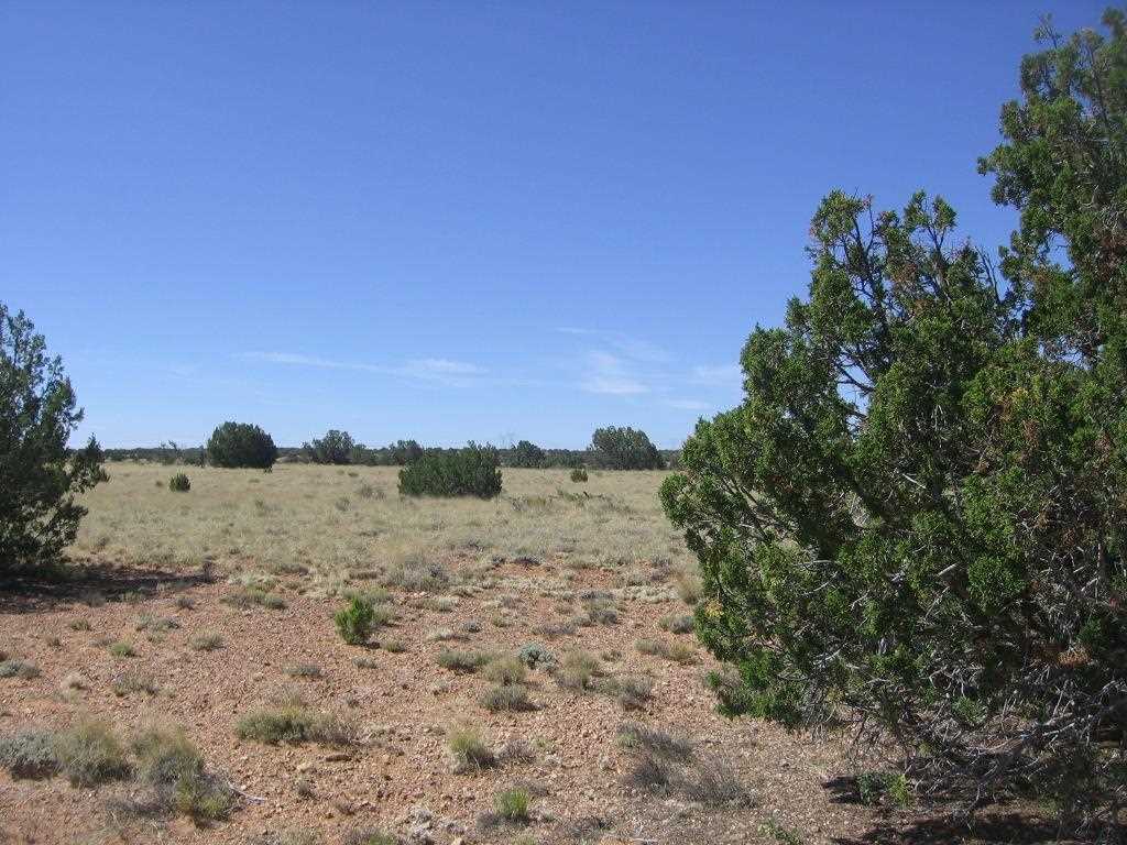Lot 587 Chevelon Canyon Ranch Heber, AZ 85928 - Photo 11 of 13