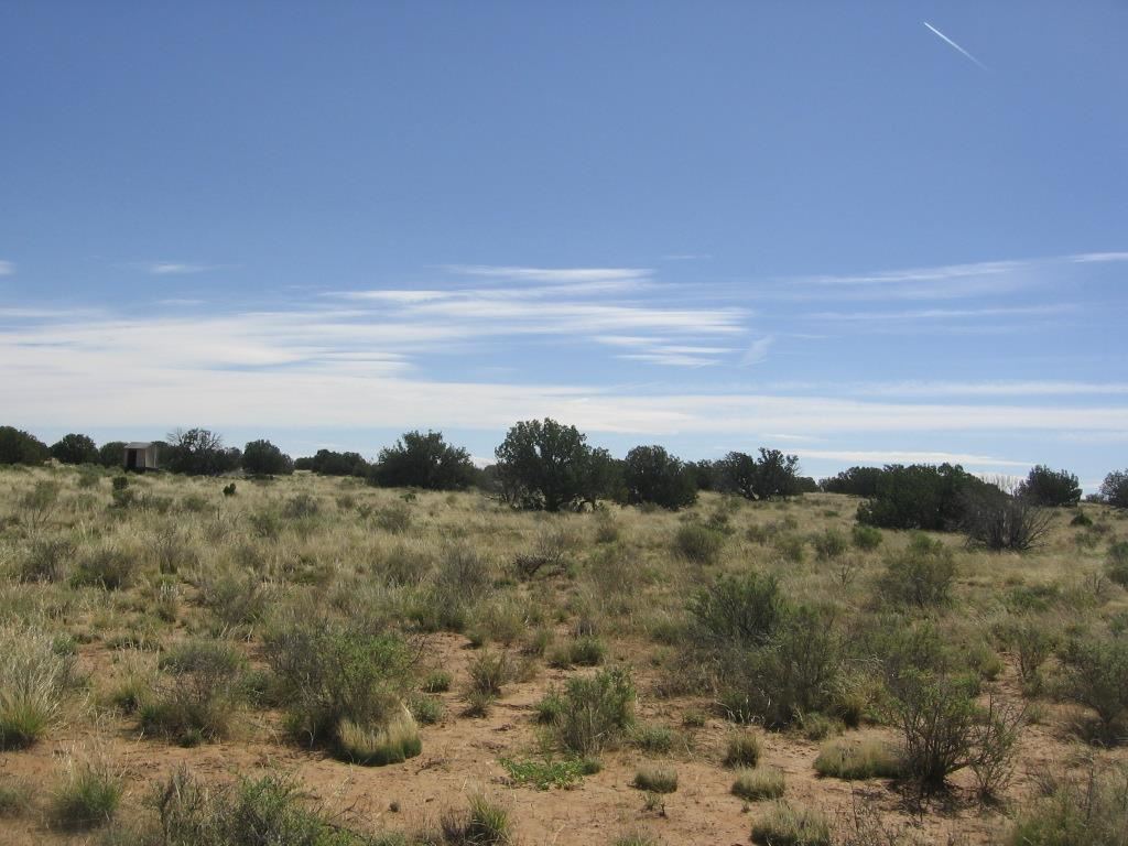 Lot 587 Chevelon Canyon Ranch Heber, AZ 85928 - Photo 13 of 13