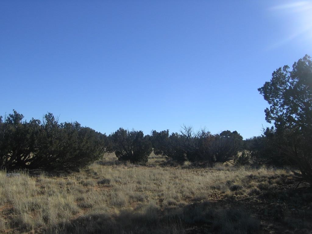Lot 587 Chevelon Canyon Ranch Heber, AZ 85928 - Photo 4 of 13