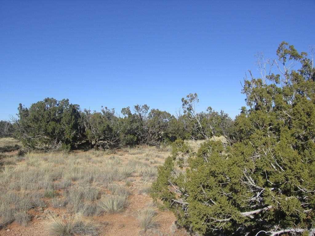 Lot 587 Chevelon Canyon Ranch Heber, AZ 85928 - Photo 7 of 13