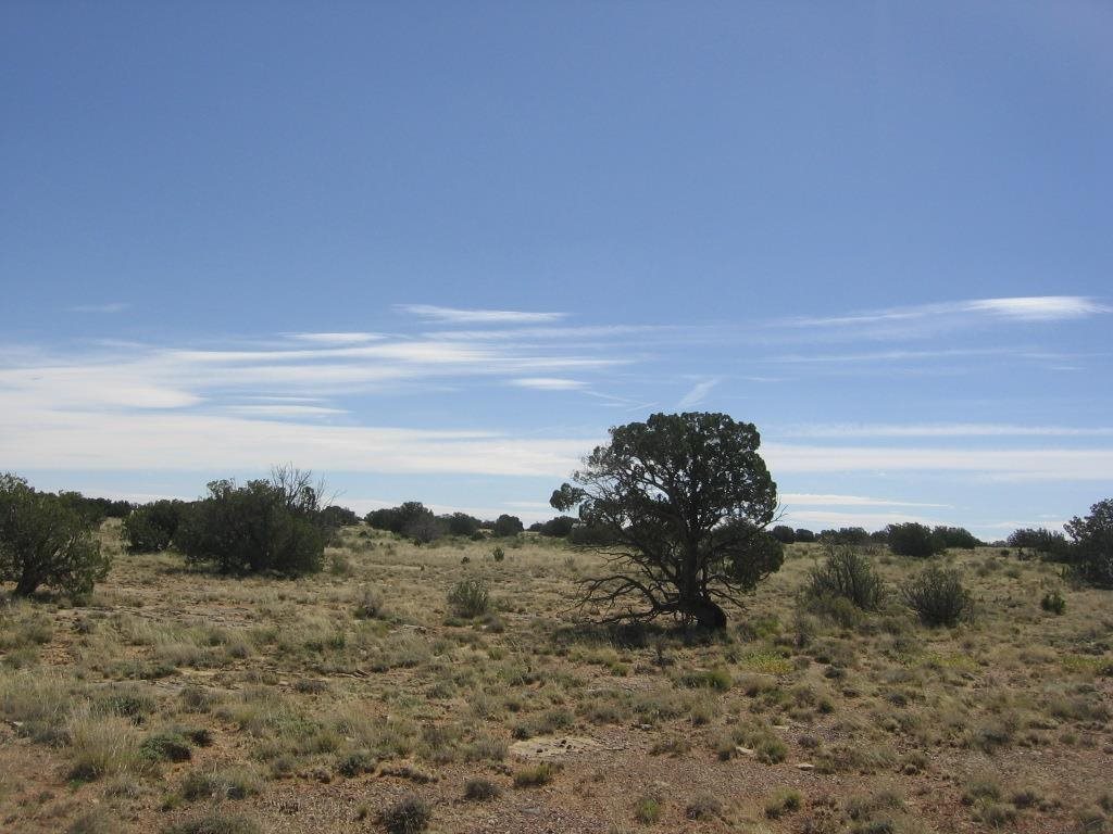 Lot 587 Chevelon Canyon Ranch Heber, AZ 85928 - Photo 10 of 13