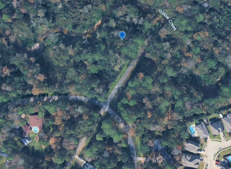 Lot 52 Overcup Drive Spring, TX 77389 - Photo 2 of 6 a picture of tree