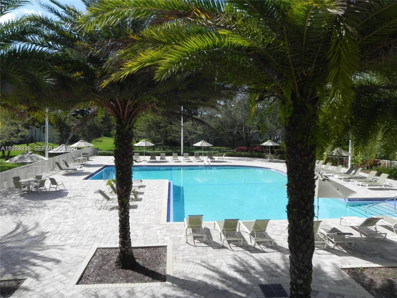 10909 Southwest 113th Place, Unit 68A Miami, FL 33176 - Photo 30 of 37 a view of a yard with large tree