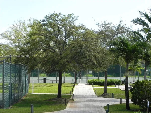 a view of a backyard with potted plants and palm trees