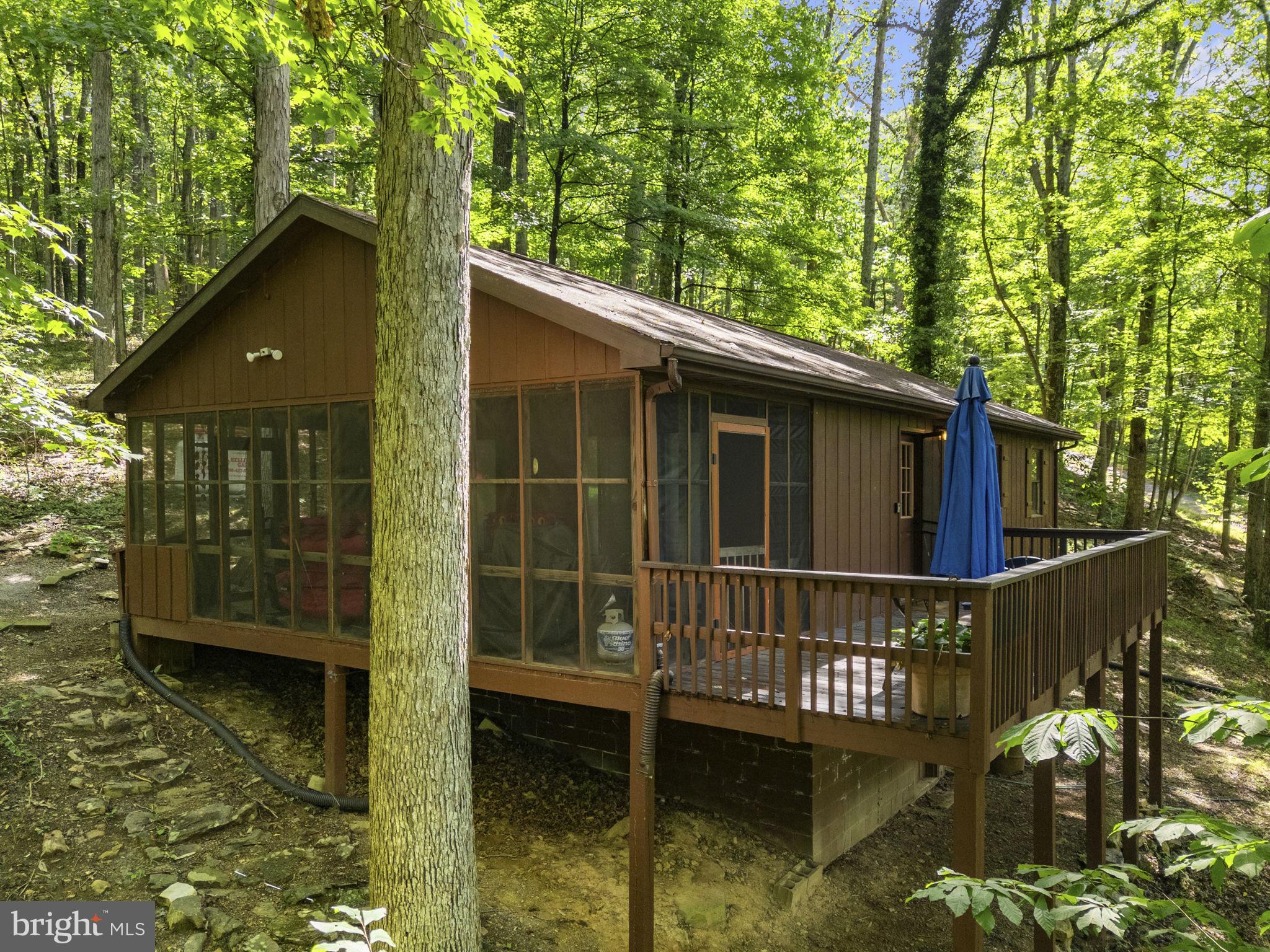356 Razor Back Road Great Cacapon, WV 25422 - Photo 45 of 51 Gallery Image 45