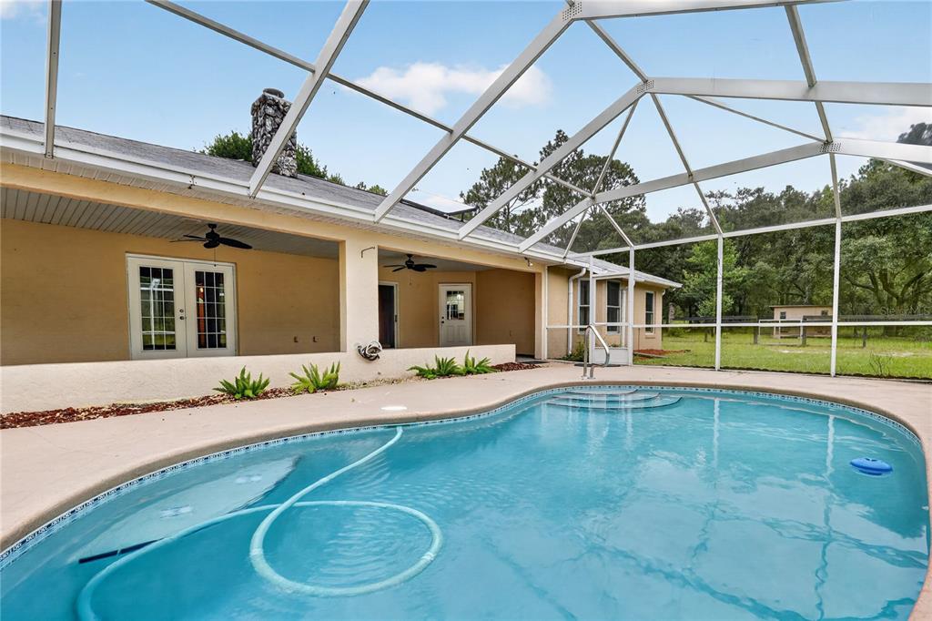389 Southwest Big Tree Road Dunnellon, FL 34431 - Photo 4 of 46 Gallery Image 4
