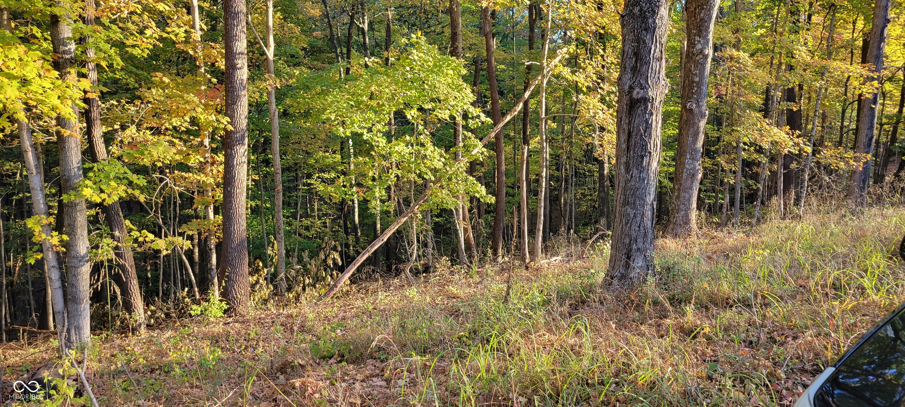 0 Four Mile Ridge Road Nashville, IN 47448 - Photo 2 of 4