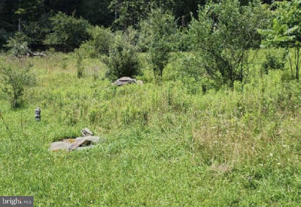 83 Ankney Lane Westover, PA 16692 - Photo 13 of 15 a view of a lush green forest