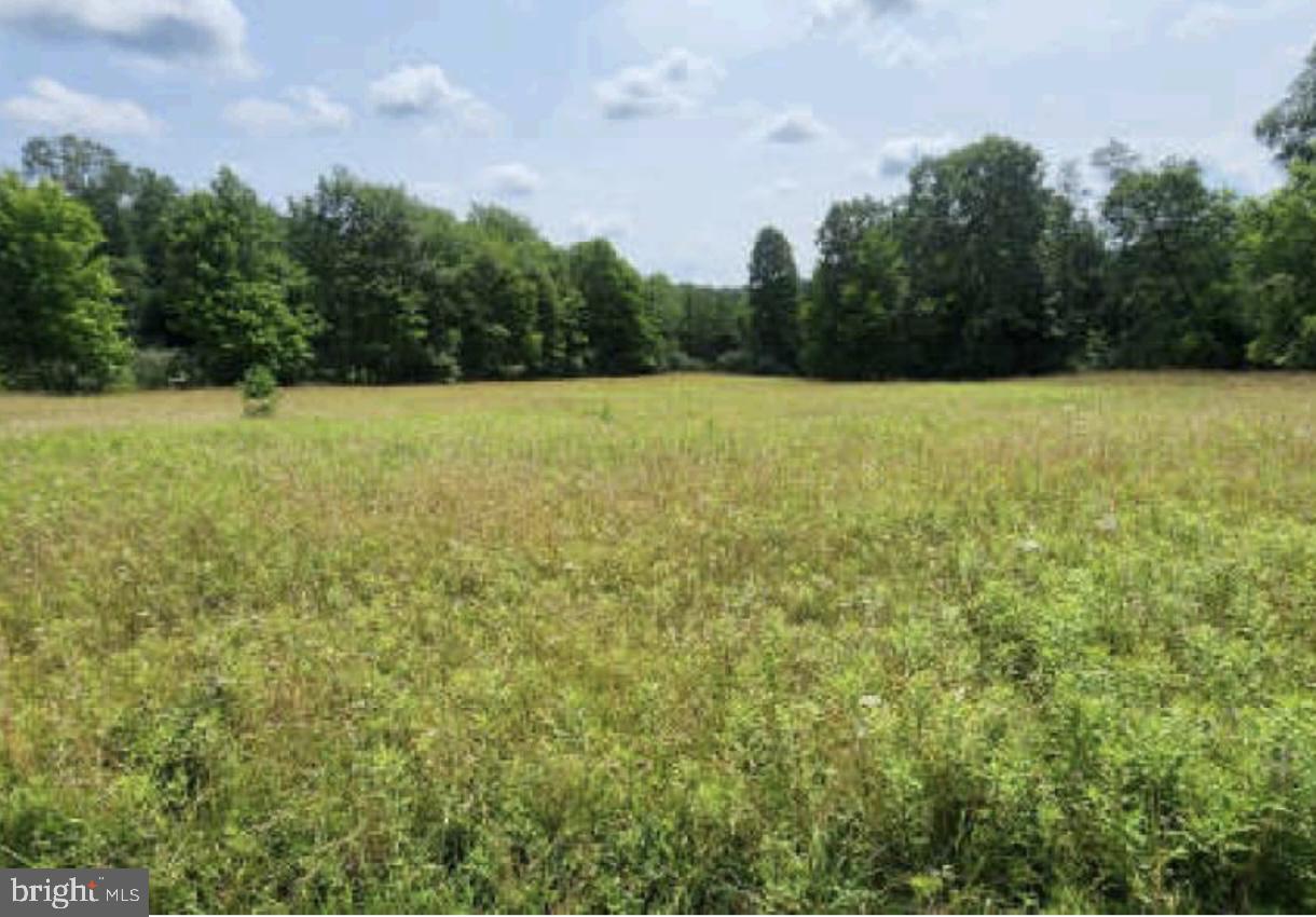 83 Ankney Lane Westover, PA 16692 - Photo 14 of 15 a view of a green field