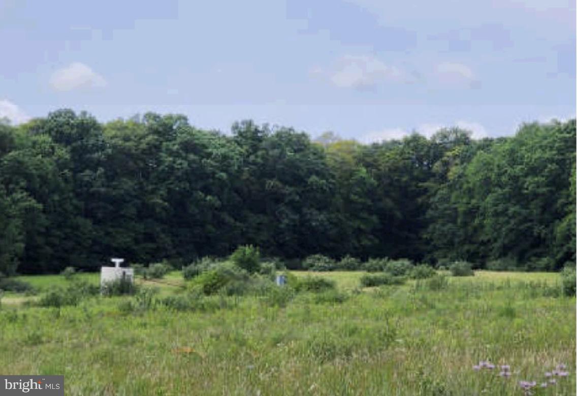 83 Ankney Lane Westover, PA 16692 - Photo 15 of 15 a view of outdoor space and yard
