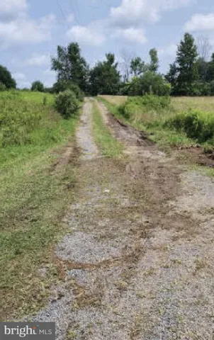a view of a lake with houses in the back