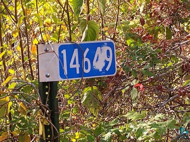 14649 Canadian Border Road Ely, MN 55731 - Photo 9 of 19