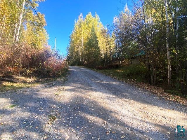 14649 Canadian Border Road Ely, MN 55731 - Photo 10 of 19