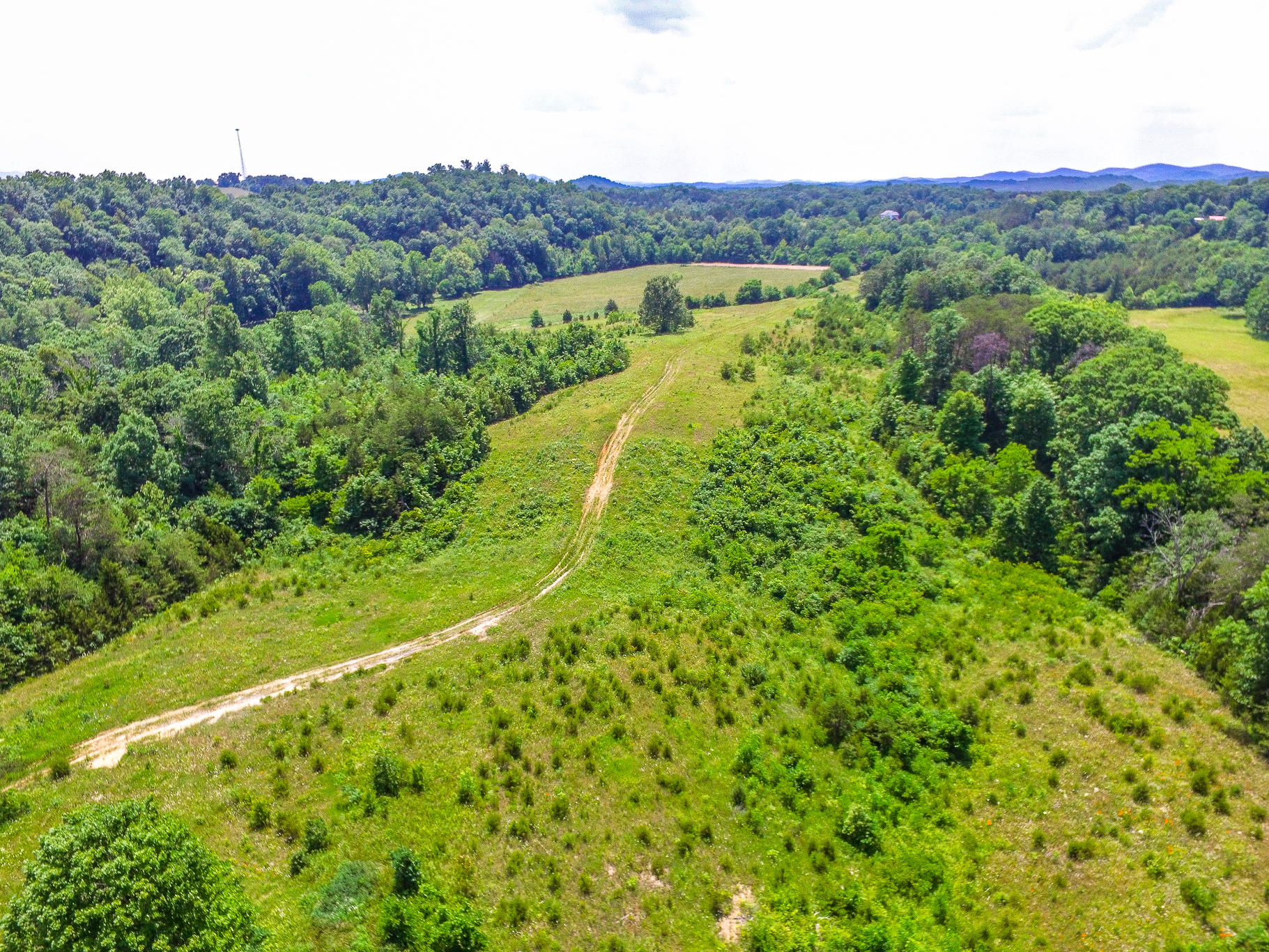 DJI_0797
