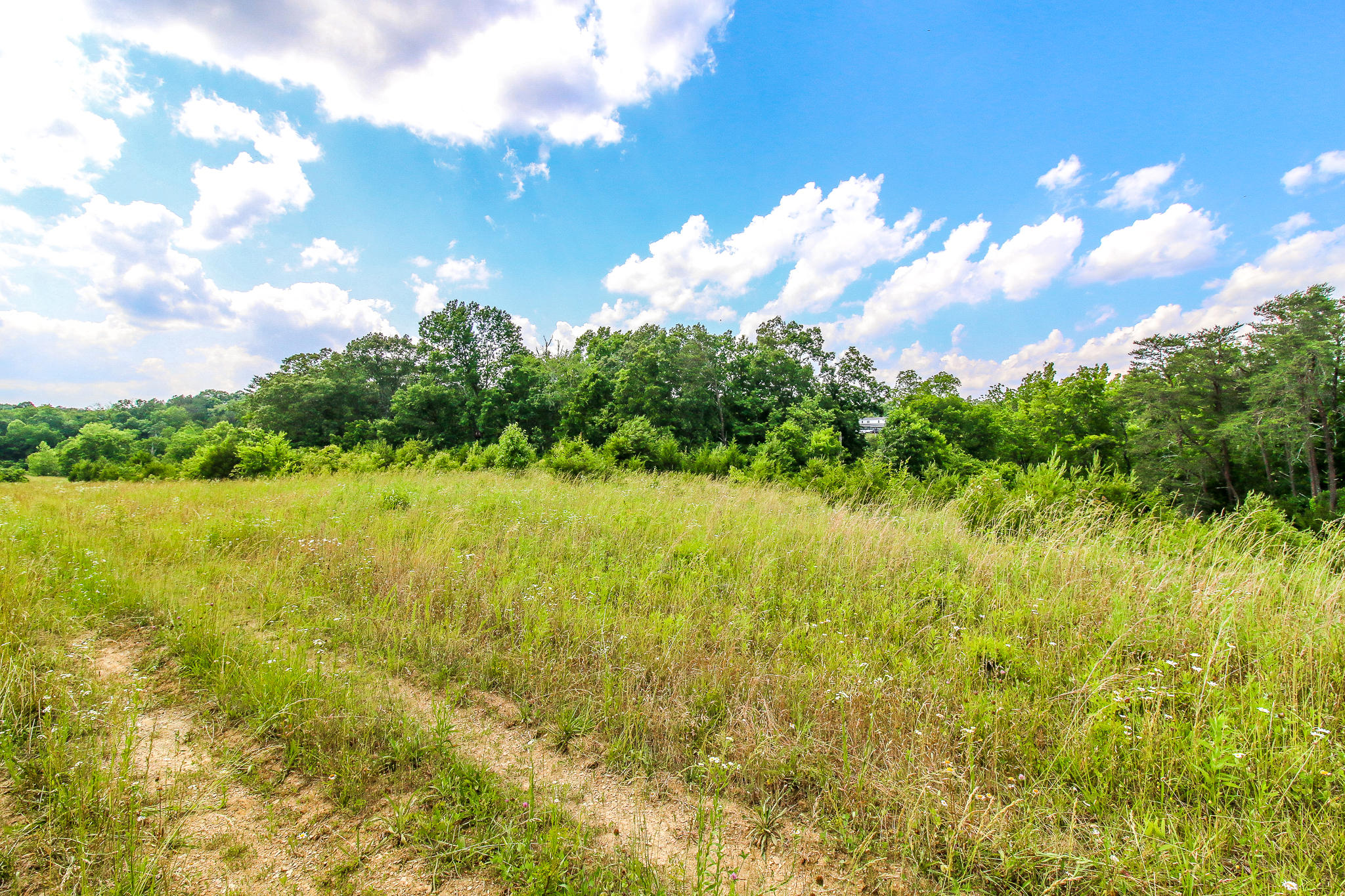 3835 Hickman Road Kodak, TN 37764 - Photo 11 of 13 IMG_4186