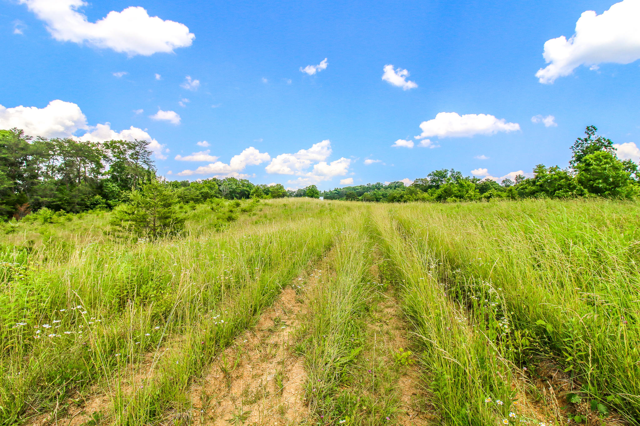 3835 Hickman Road Kodak, TN 37764 - Photo 12 of 13 IMG_4187