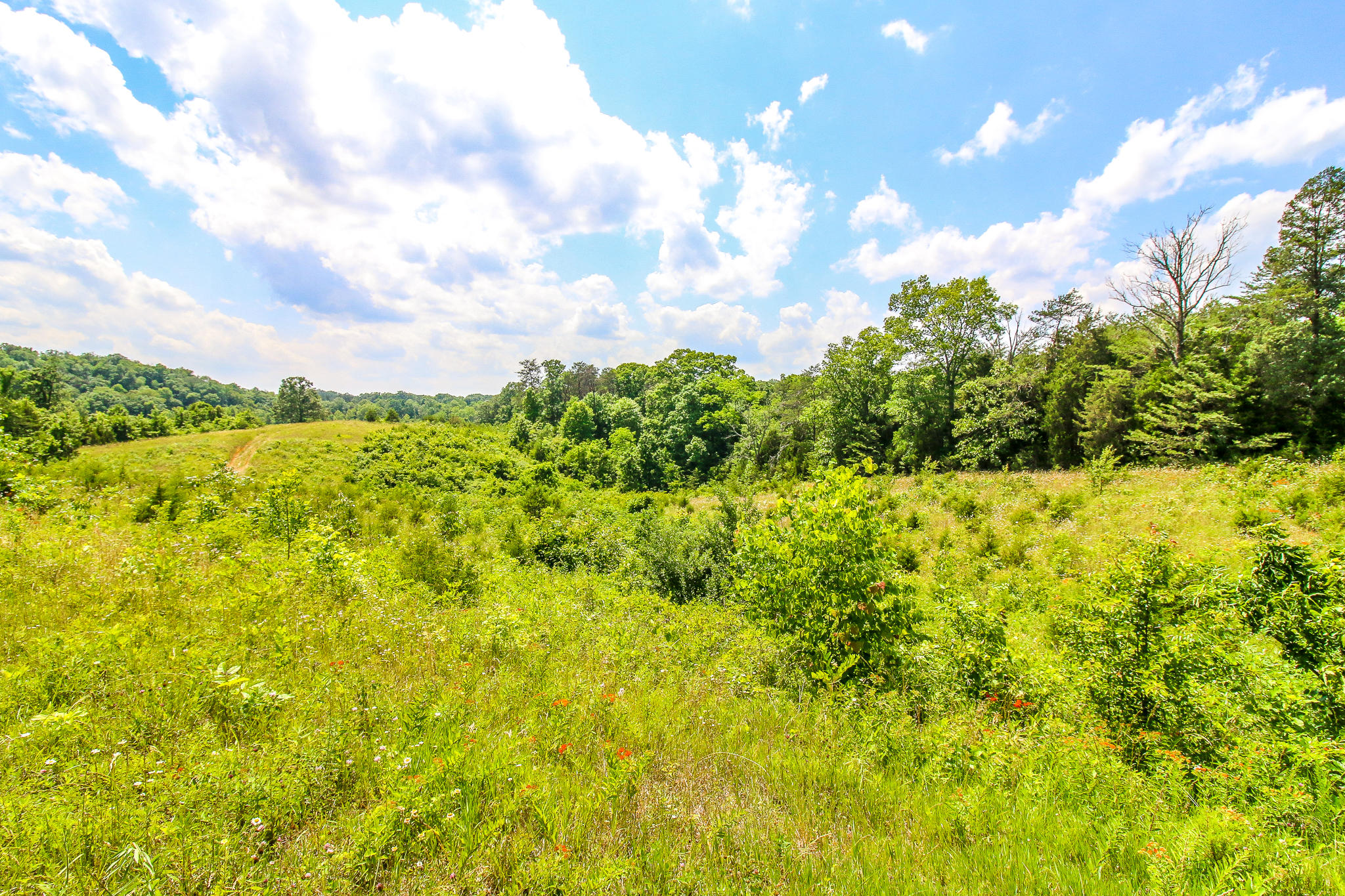 3835 Hickman Road Kodak, TN 37764 - Photo 6 of 13 IMG_4180