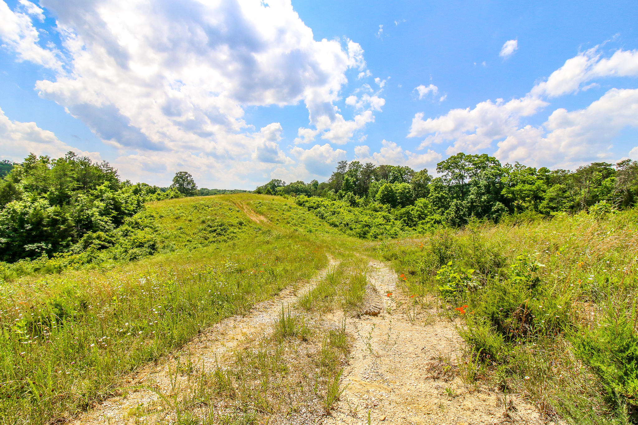 3835 Hickman Road Kodak, TN 37764 - Photo 7 of 13 IMG_4183