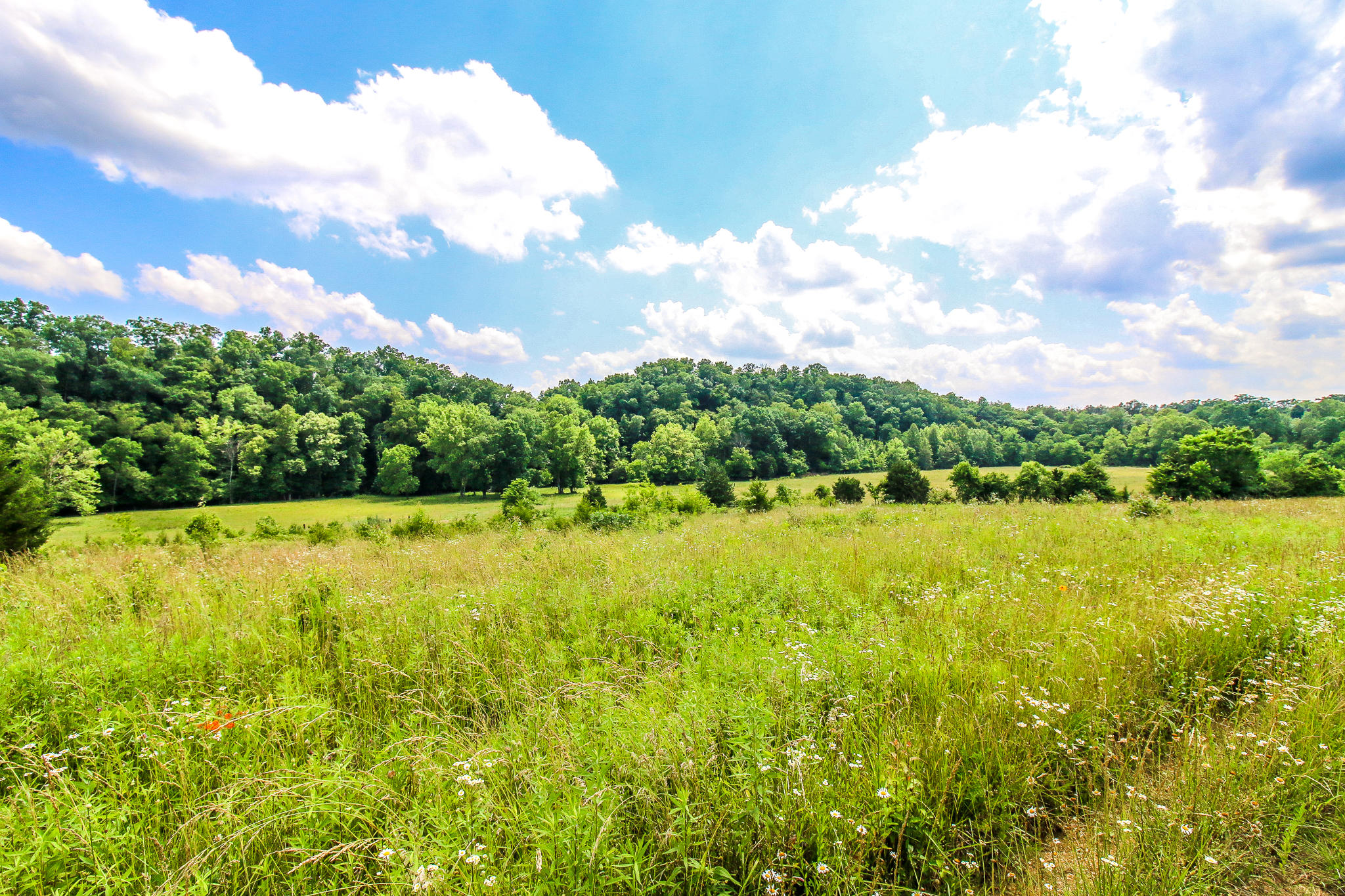 3835 Hickman Road Kodak, TN 37764 - Photo 10 of 13 IMG_4188