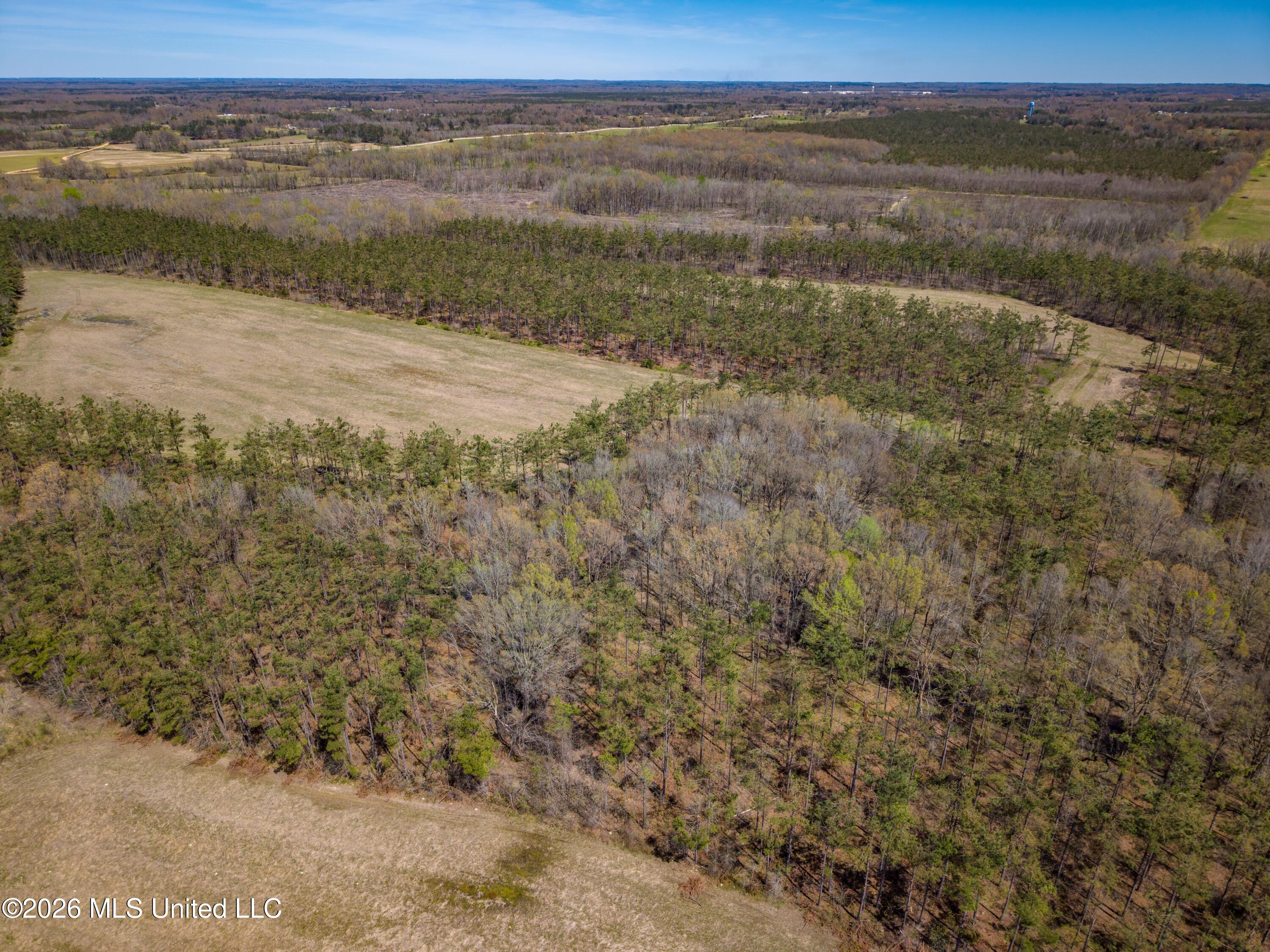 Wise Bend Road Thaxton, MS 38871 - Photo 2 of 22 2