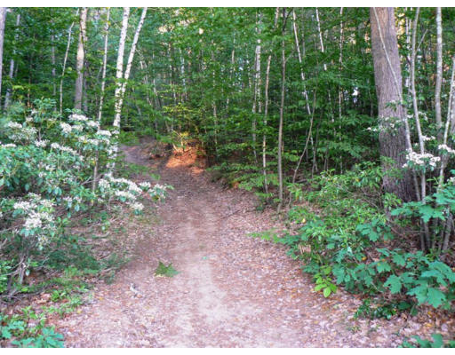 35.73-1 Plain Road Hollis, NH 03049 - Photo 1 of 1 Gallery Image 1