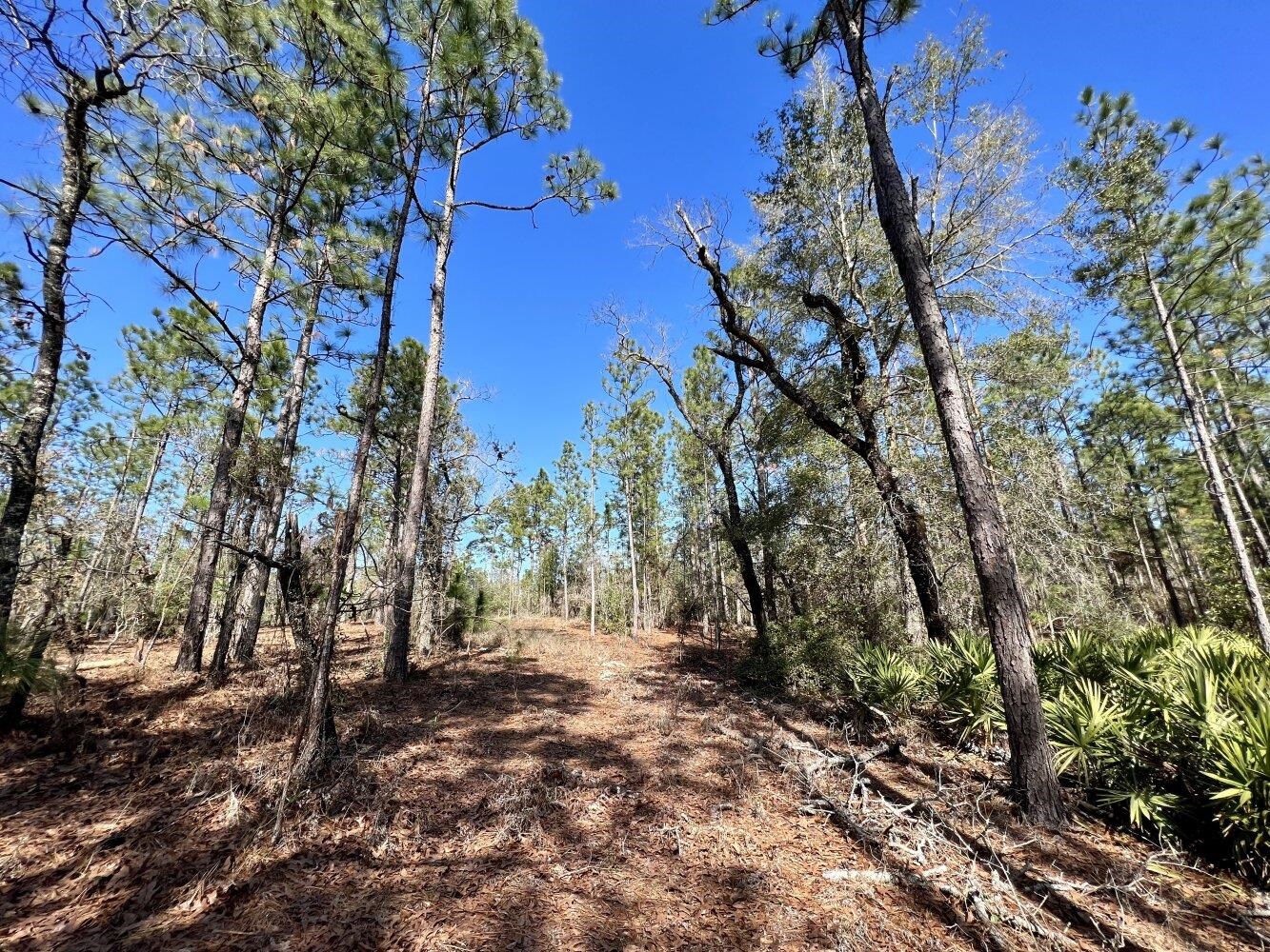 0 Dixon Road Bay Minette, AL 36507 - Photo 44 of 50