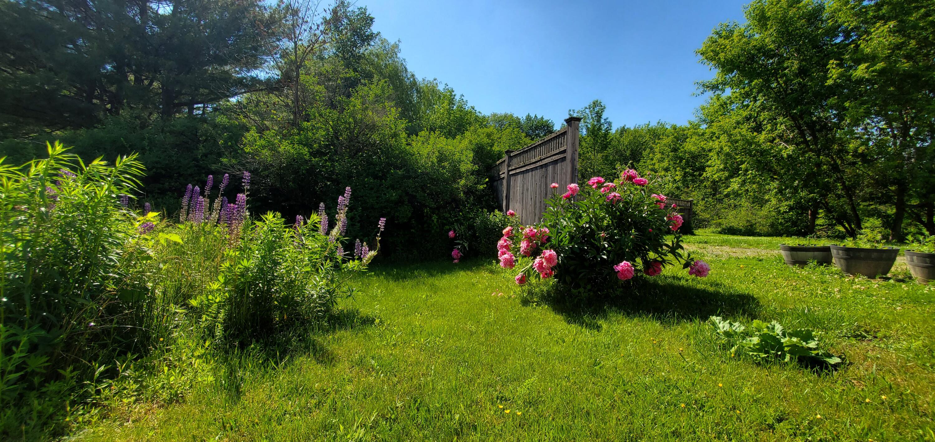 376 Swetts Pond Road Orrington, ME 04474 - Photo 32 of 33 20220617_154015