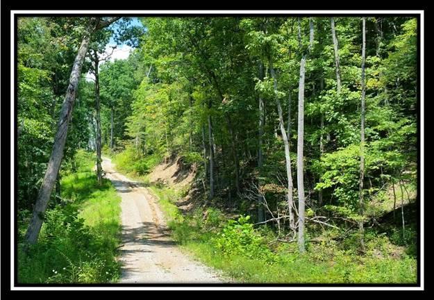 5686 Rarden-Hazelbaker Hill Road Peebles, OH 45660 - Photo 8 of 11