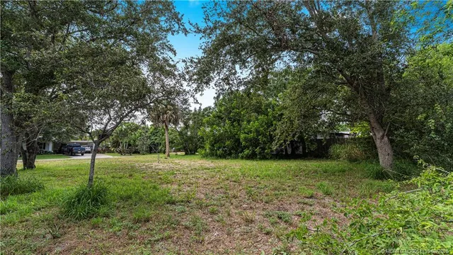 a view of a field with a tree