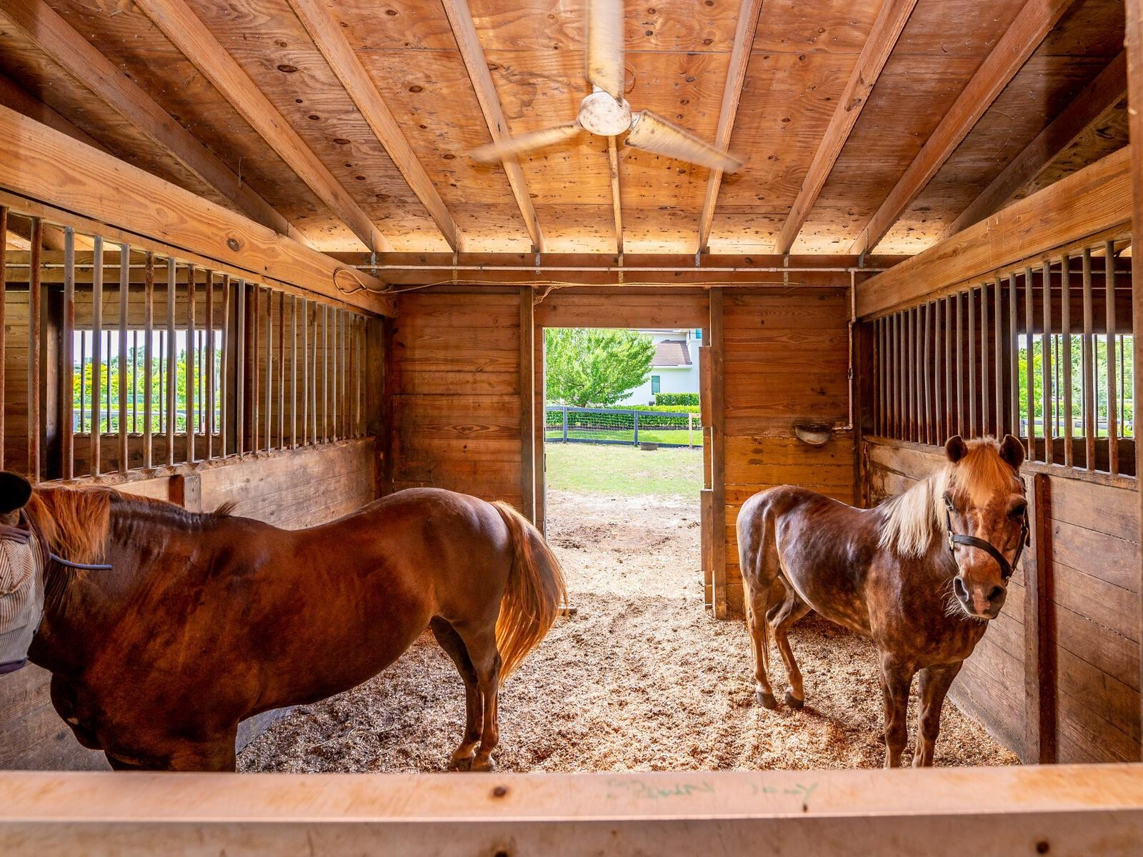 17640 Southwest 52nd Court Southwest Ranches, FL 33331 - Photo 18 of 90 STALL OPEN TO PADDOCK