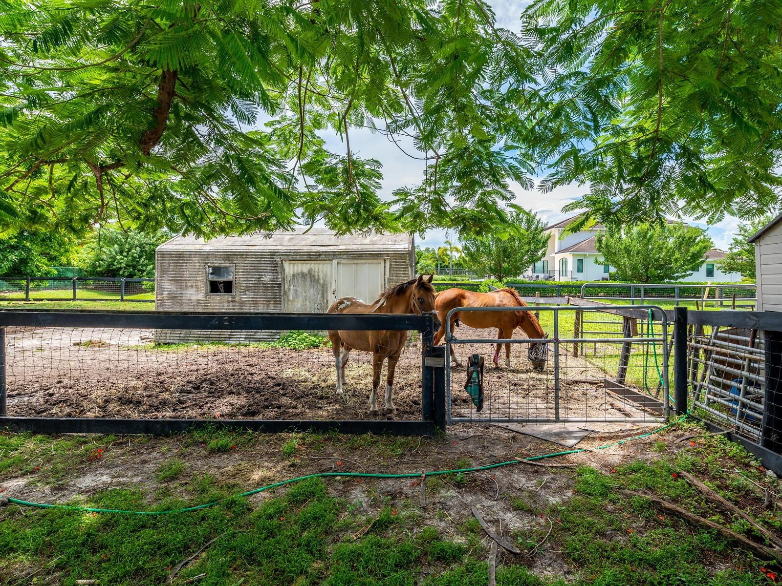17640 Southwest 52nd Court Southwest Ranches, FL 33331 - Photo 31 of 90 PADDOCS WITH STORAGE SHED