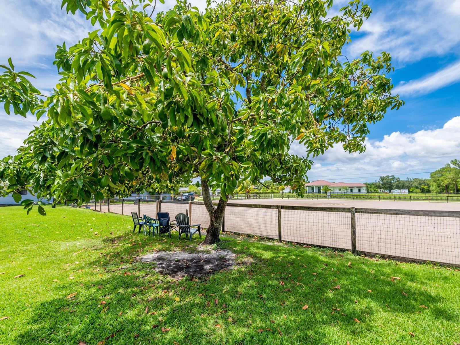 17640 Southwest 52nd Court Southwest Ranches, FL 33331 - Photo 35 of 90 ARENA