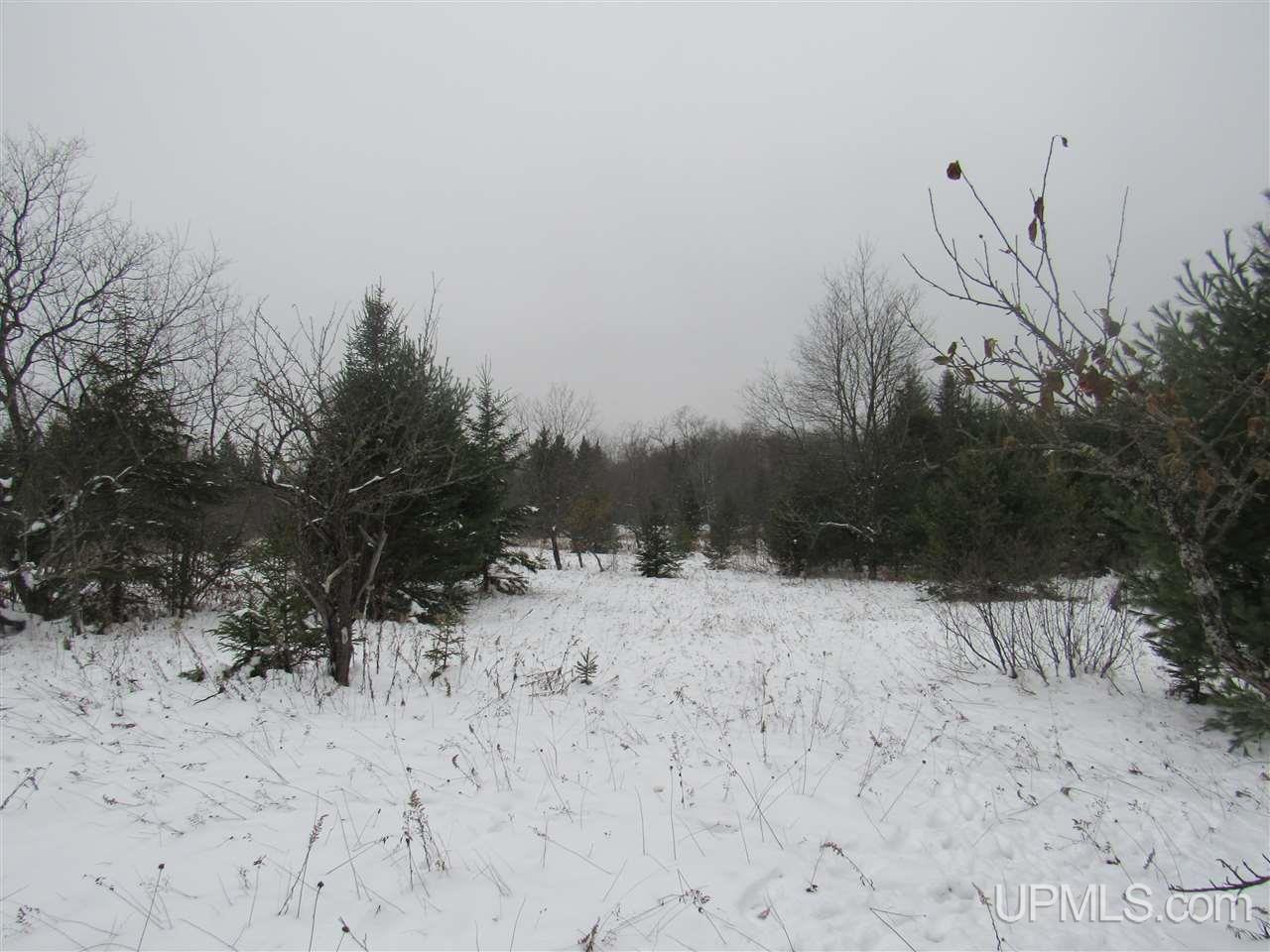 Tbd Johnson Creek Road Chatham, MI 49816 - Photo 23 of 28 Gallery Image 23