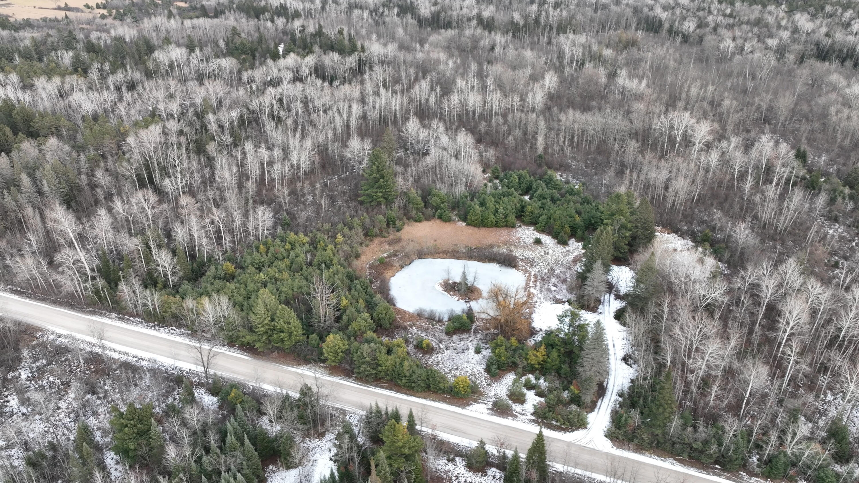 Lot 2 Funk Road Hillman, MI 49746 - Photo 10 of 16 Gallery Image 10