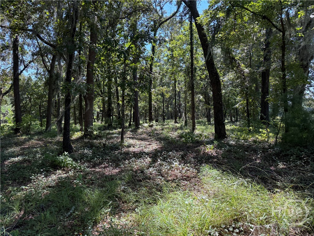 0 Sunbury Road, Unit TRACT 6 Claxton, GA 30417 - Photo 3 of 8