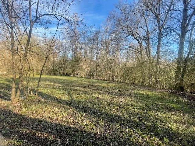 a view of dirt yard with large trees