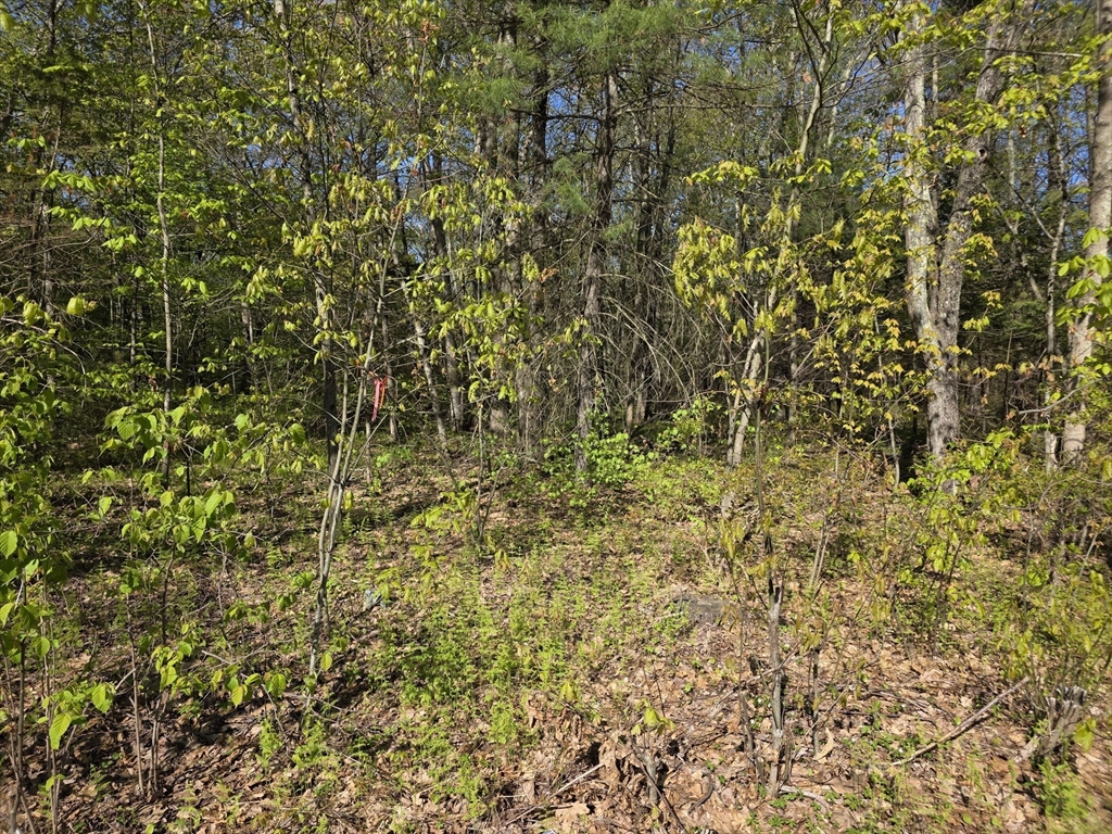14 West Street Ludlow, MA 01056 - Photo 2 of 4